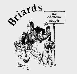 Logo du chateau magic