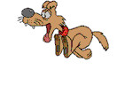 laufender Hund gif