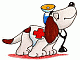 Medical Dog Gif