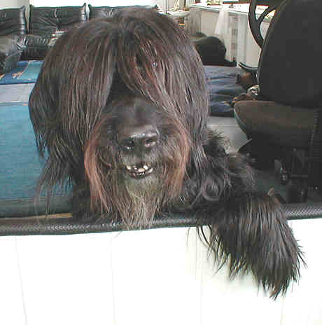 Bam Bam du chateau magic