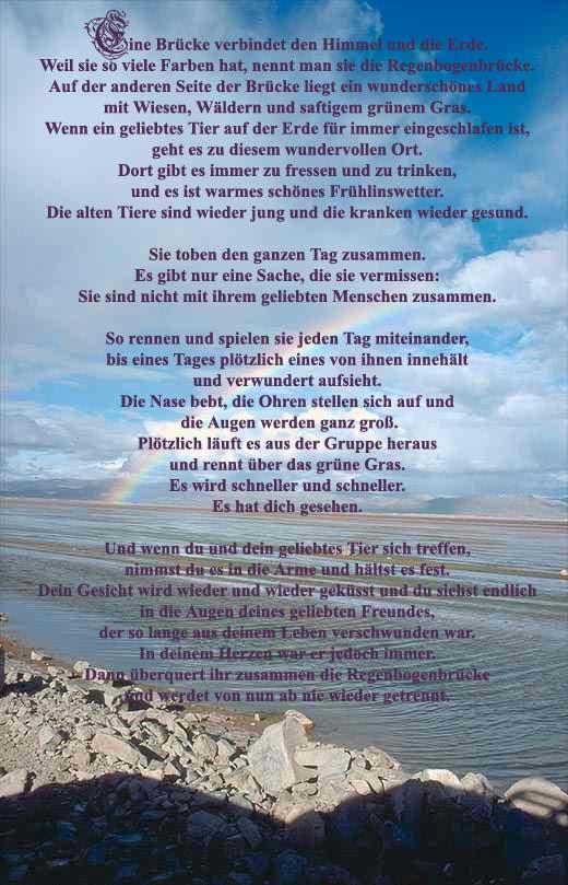 Linus Regenbogenbrücke