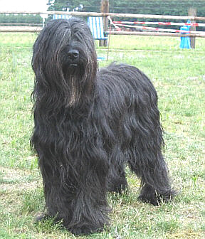 Kinou du chateau magic