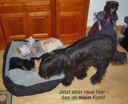 Nscho-tschi du chateau magic